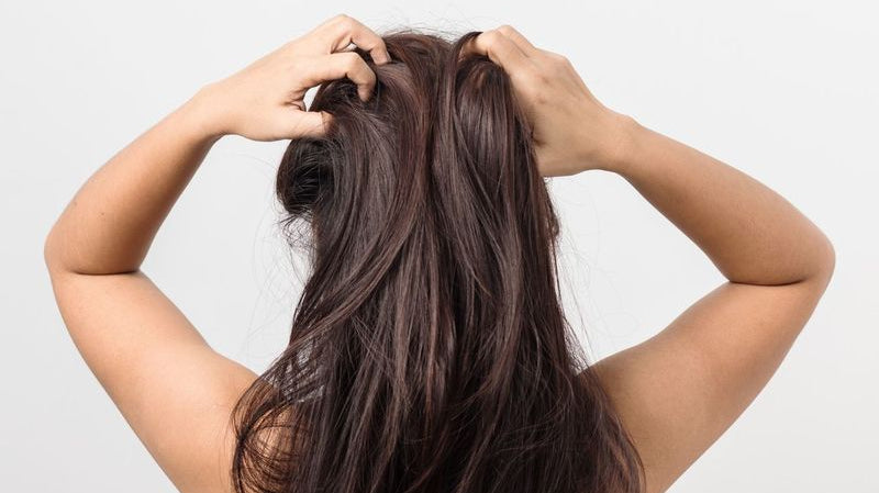 Dandruff vs Dry Scalp