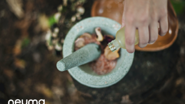 Clean Beauty Month with Neuma