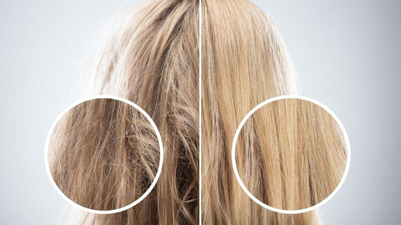 What Is Your Hair Porosity