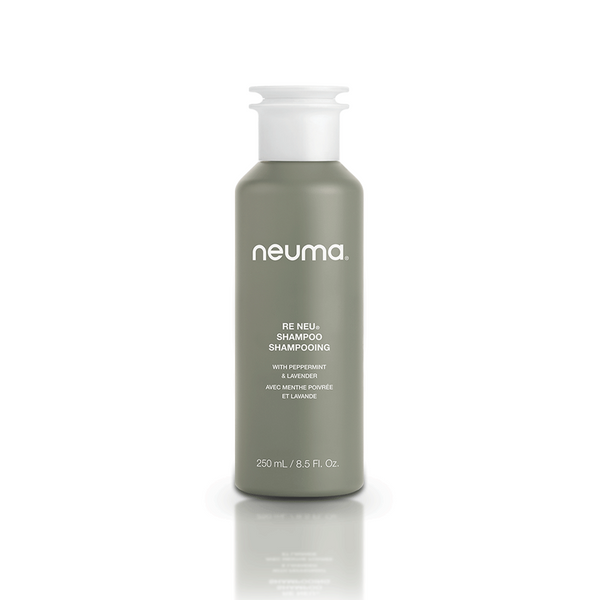 RE NEU CLARIFYING SHAMPOO